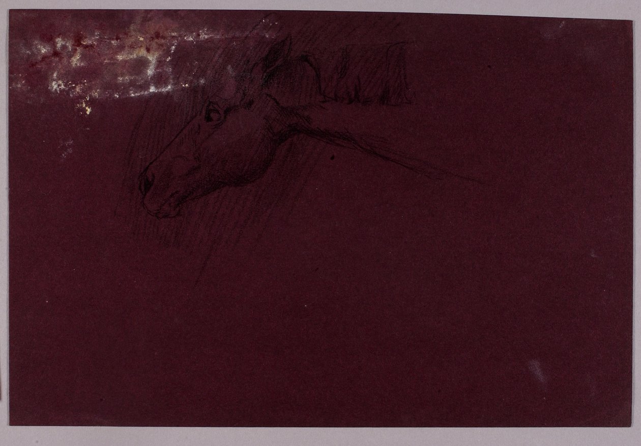 Cabeza de Caballo de Solon H. Borglum