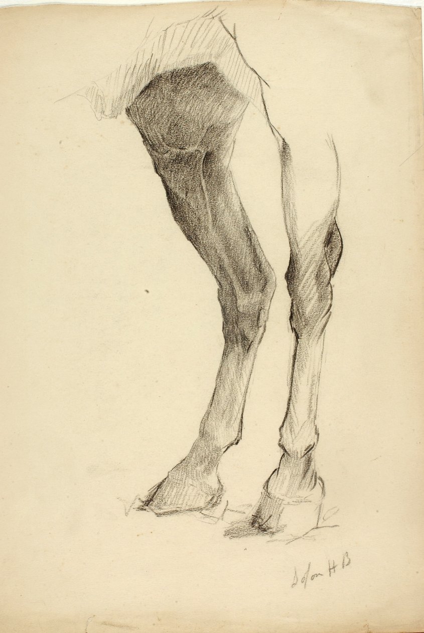 Pierna de caballo de Solon H. Borglum