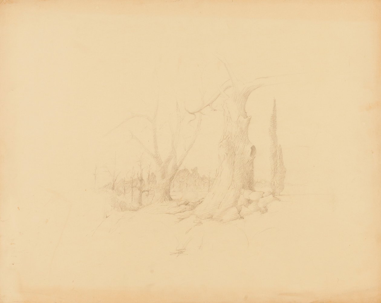 Paisaje de Solon H. Borglum