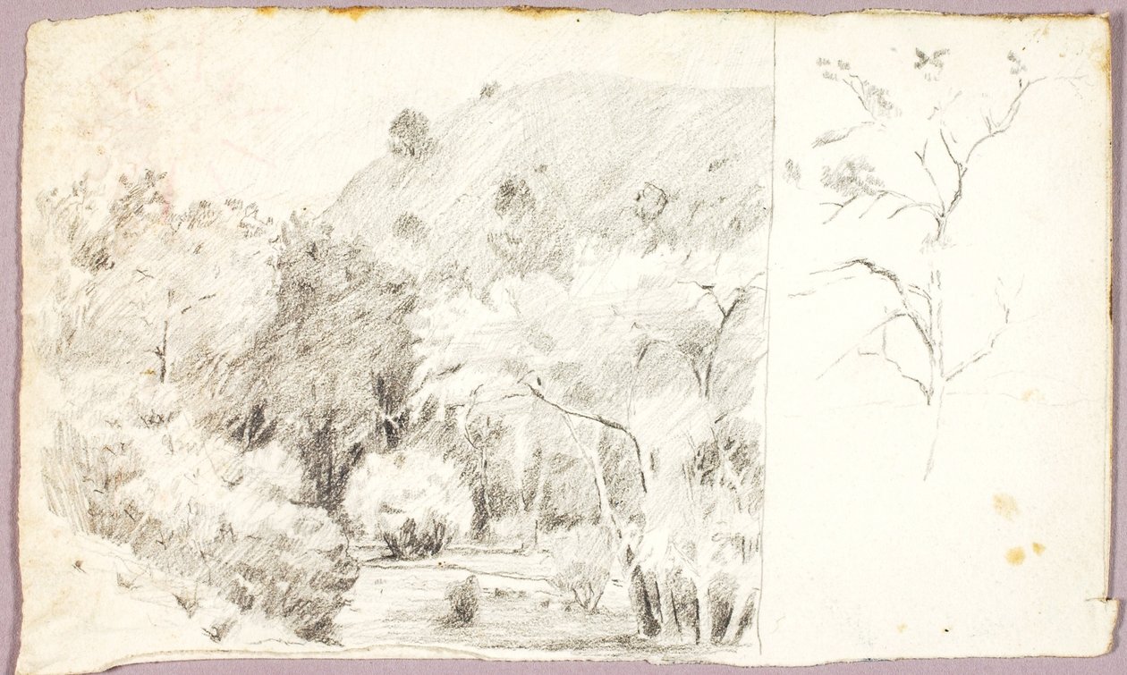 Paisaje de Solon H. Borglum