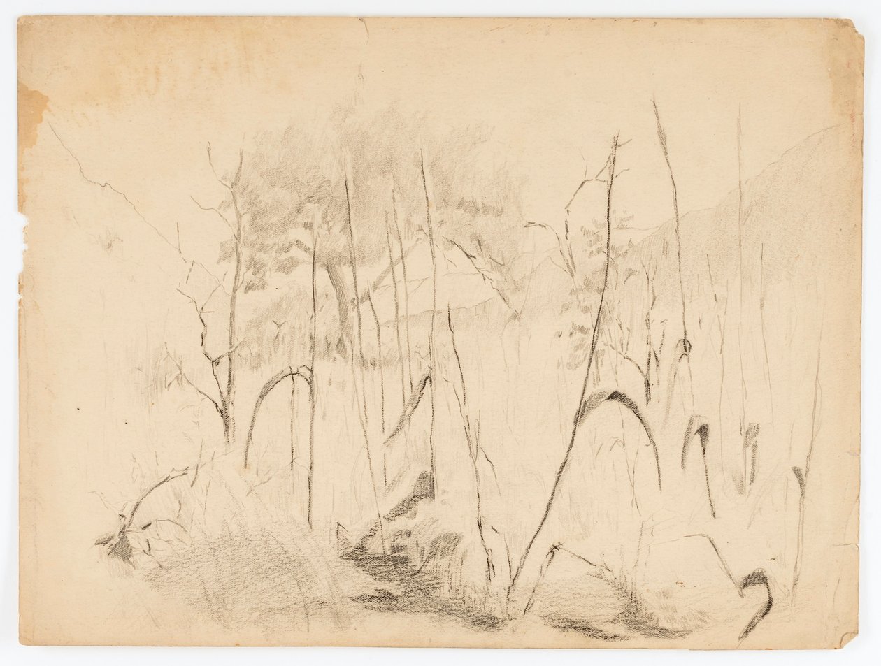 Paisaje de Solon H. Borglum