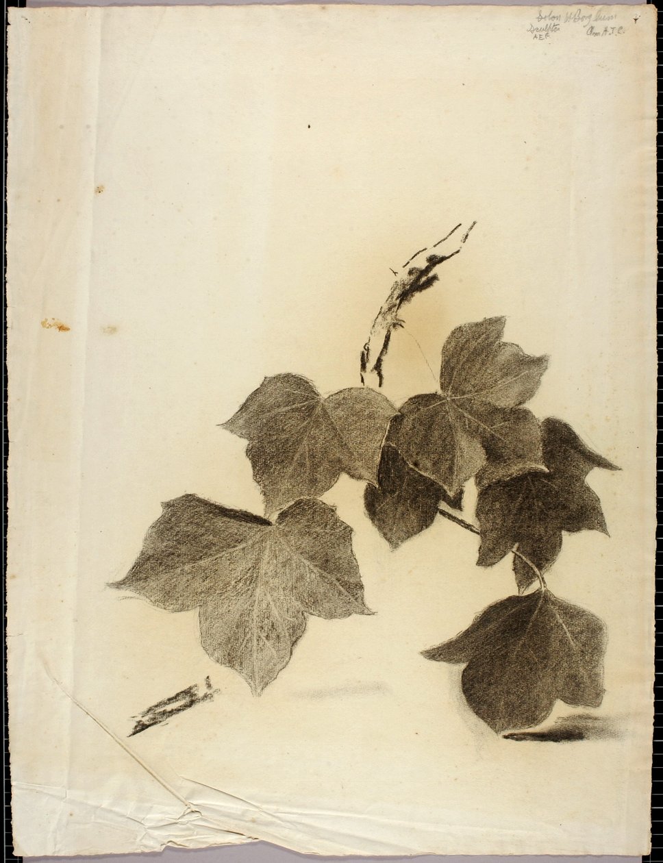 Hojas de Solon H. Borglum