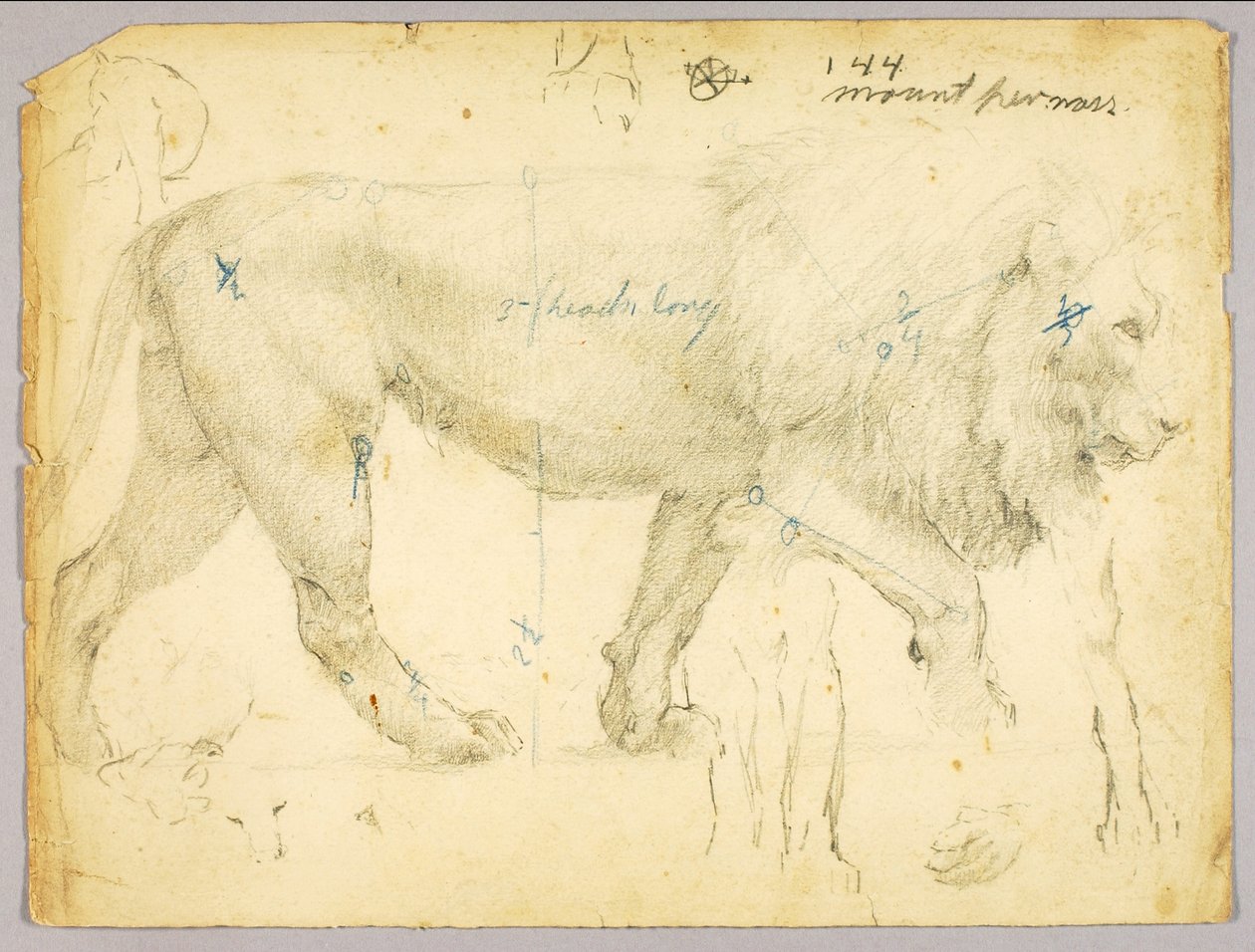 León de Solon H. Borglum