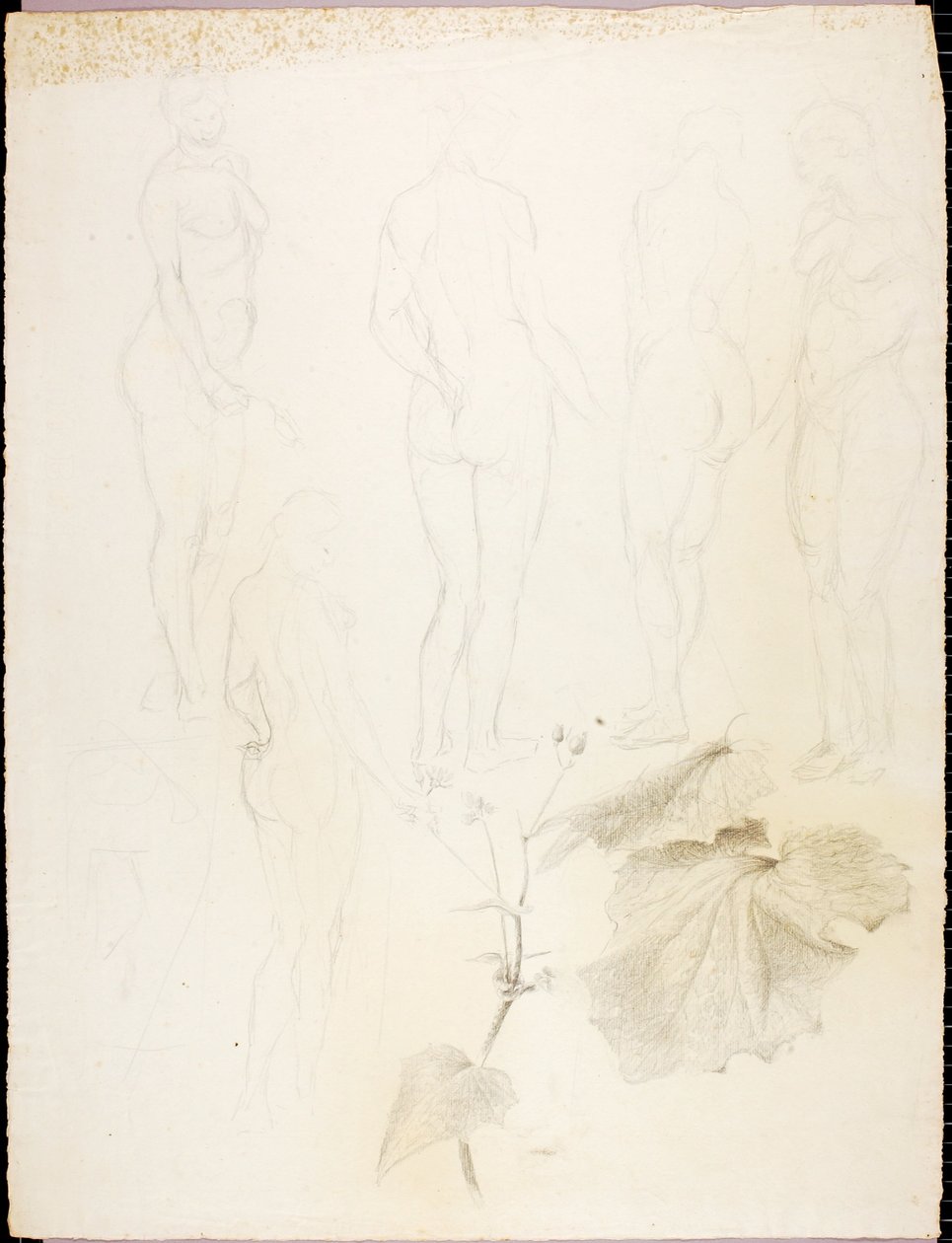 Desnudos y hojas de Solon H. Borglum