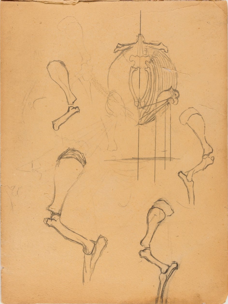 Libro de bocetos de Solon H. Borglum
