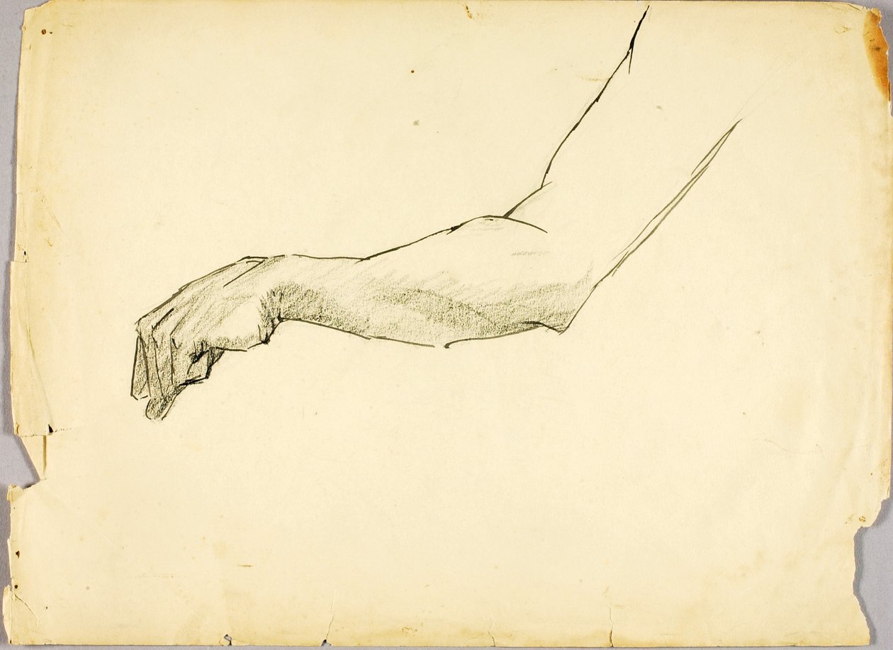 Estudio del brazo de Solon H. Borglum