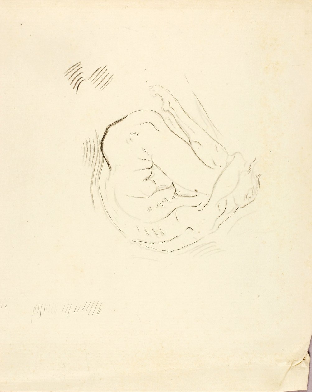 Nadador de Solon H. Borglum