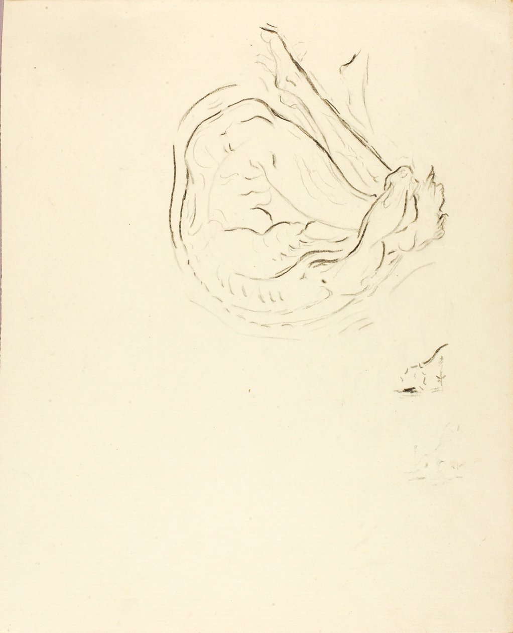 Nadador de Solon H. Borglum