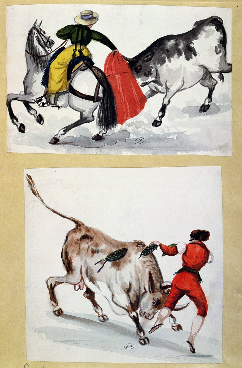 Toreros de Spanish School