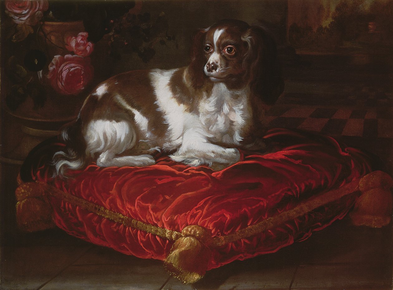 Spaniel en un Cojín de Spanish School