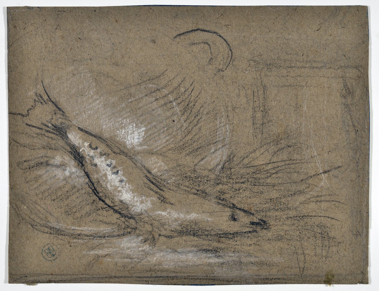 Estudio de peces (dibujo) de Stanislas Torrents y de Amat