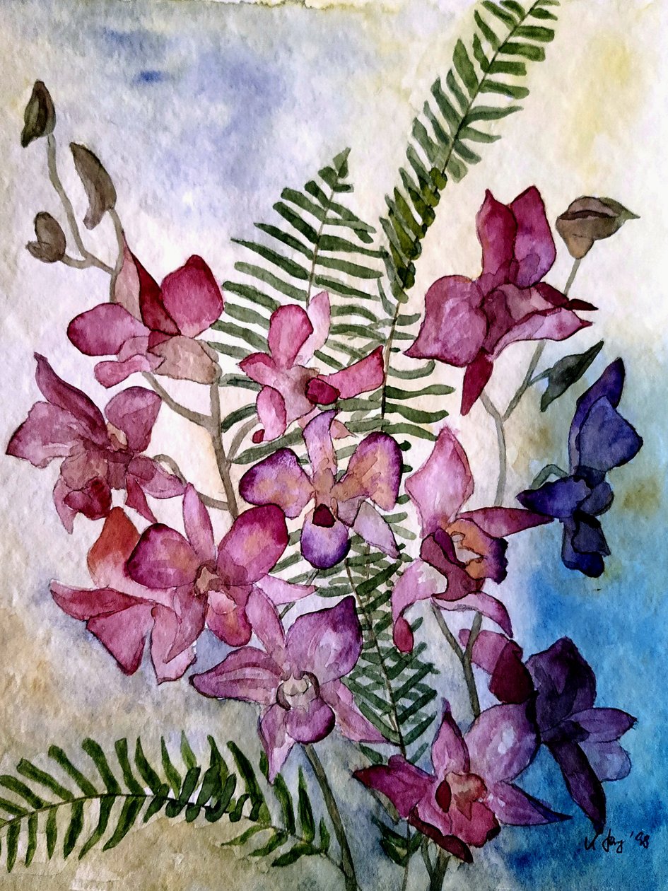 Orquídeas de Steegs Art Karin