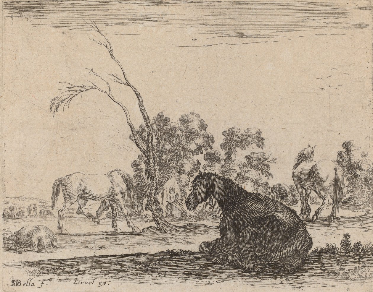 Caballos en un Pasto, 1642 de Stefano della Bella