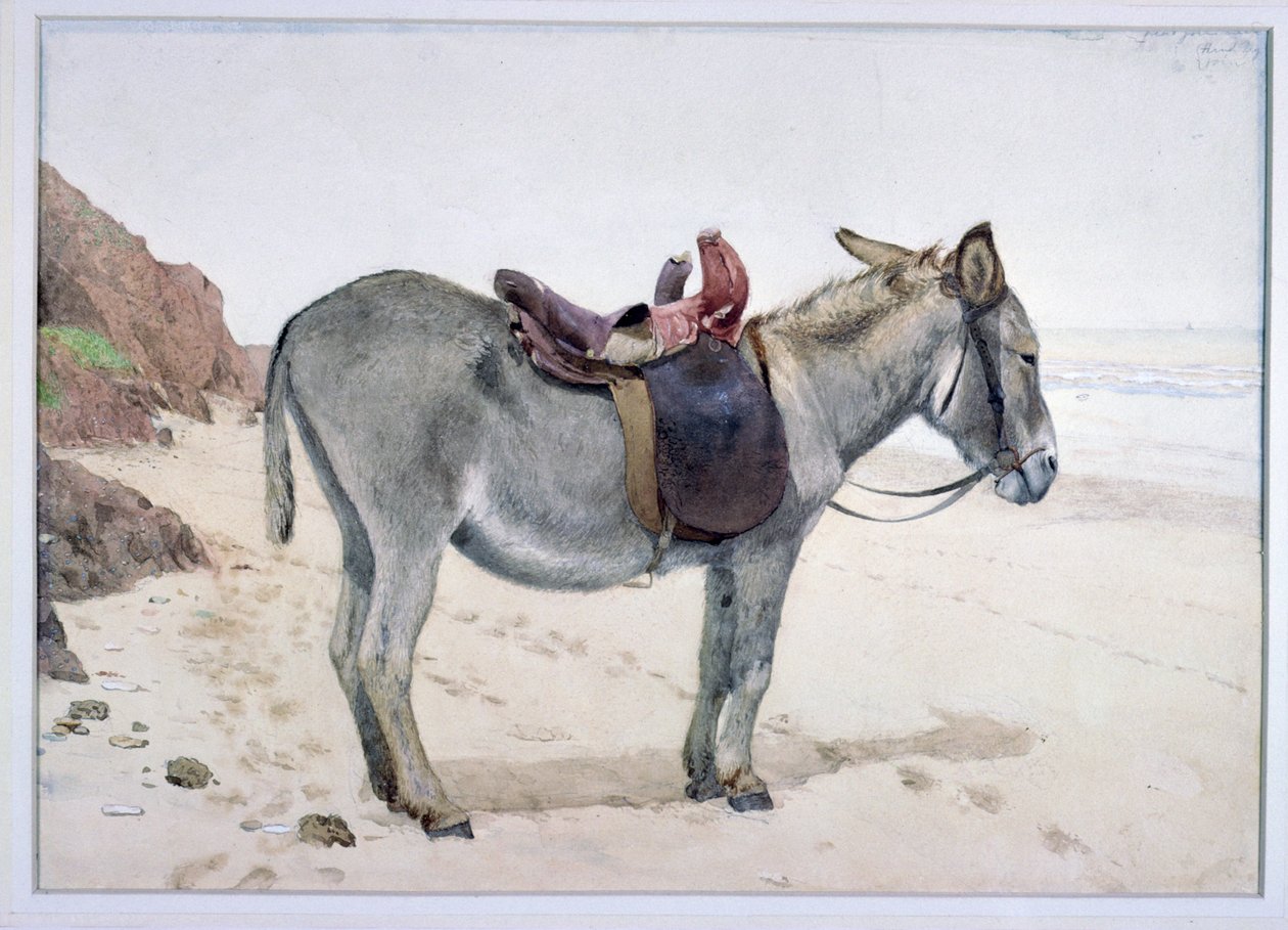 Estudios de animales (S.Ex.2-1885) de Stephen Briggs Carlil