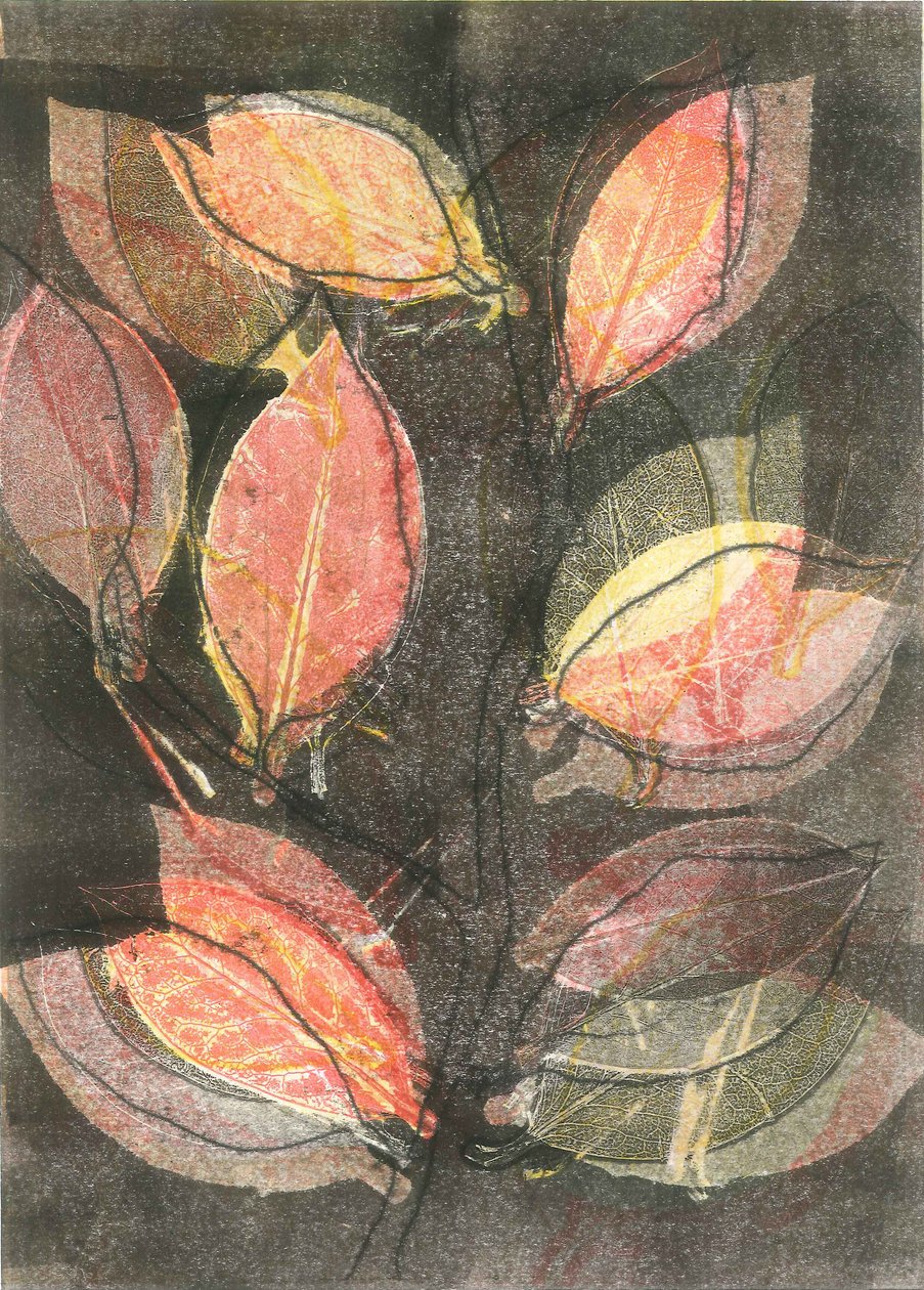 Jardín de medianoche V, 2015 (monocopia sobre papel) de Stephen Dow