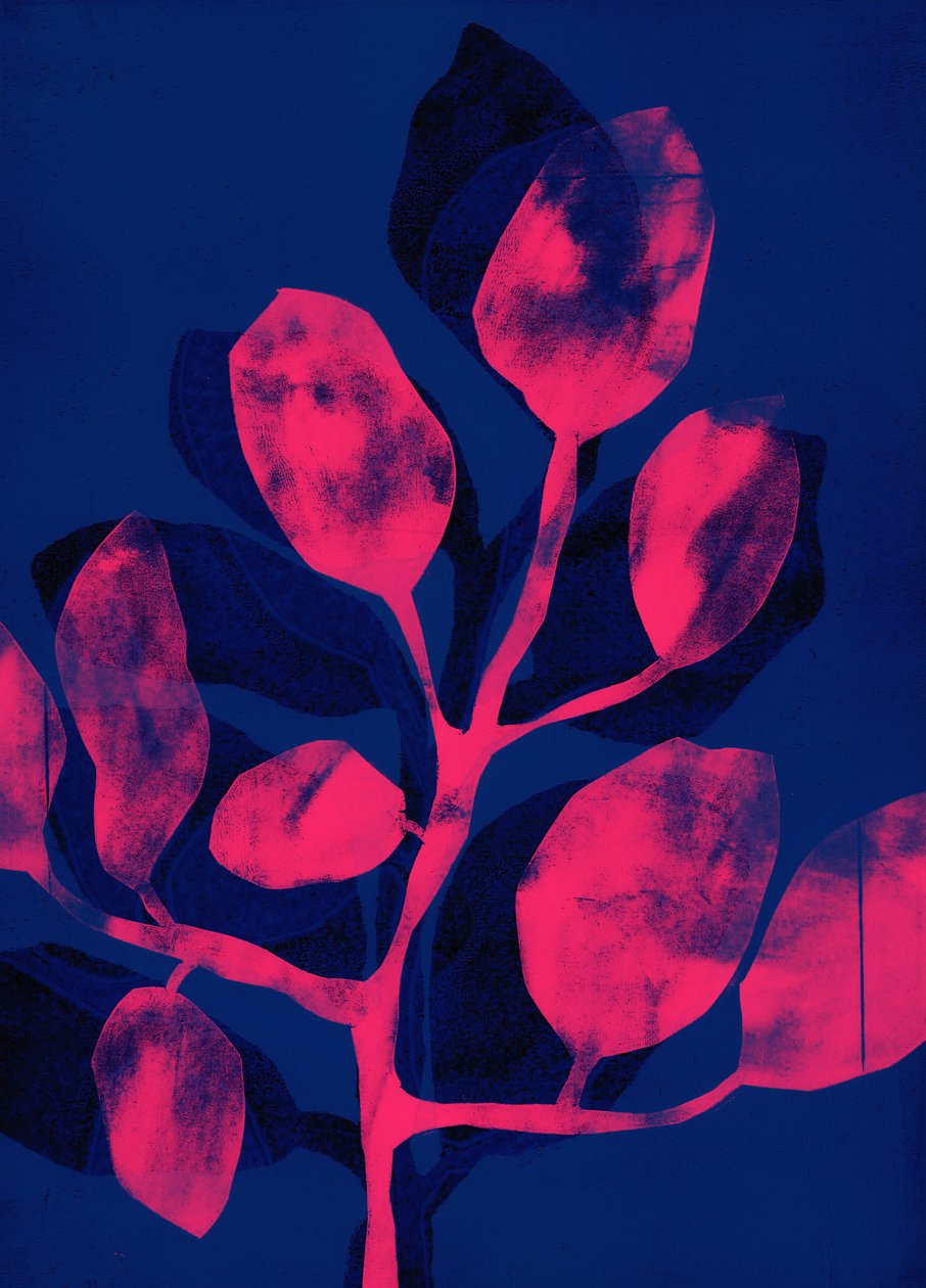 Jardín de verano III rosa, 2018 (digital) de Stephen Dow