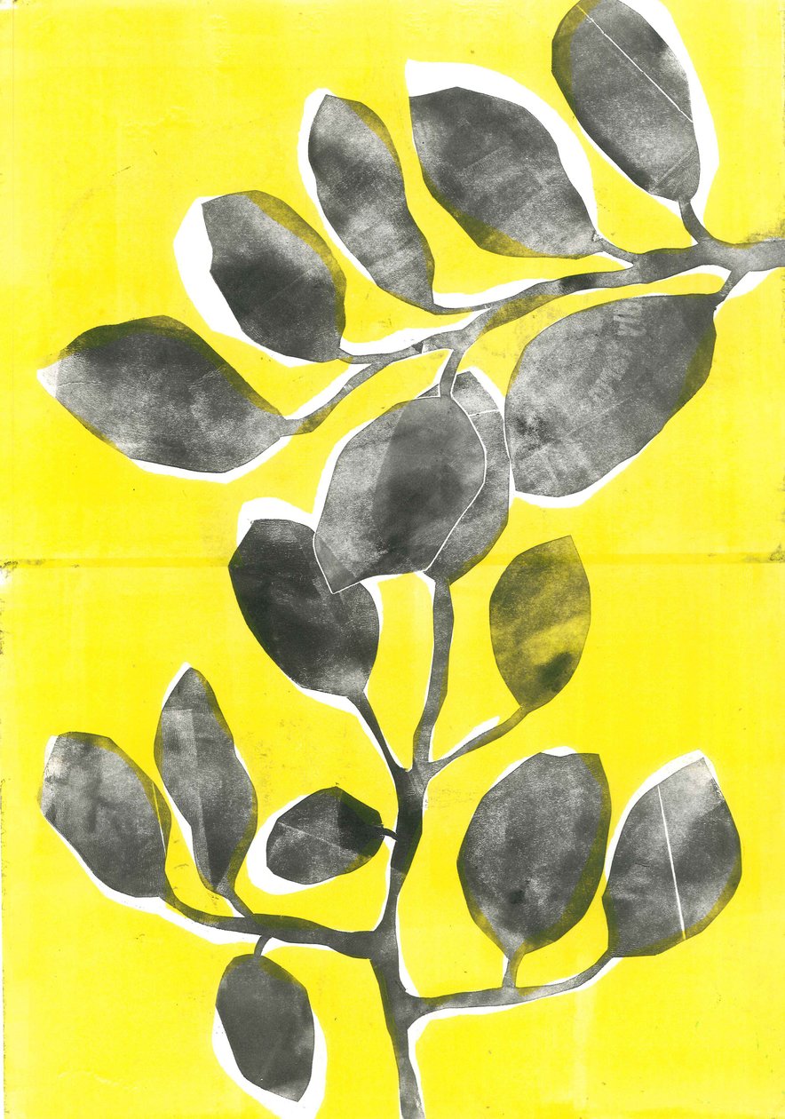 Jardín de verano IV, 2015 (monocopia sobre papel) de Stephen Dow