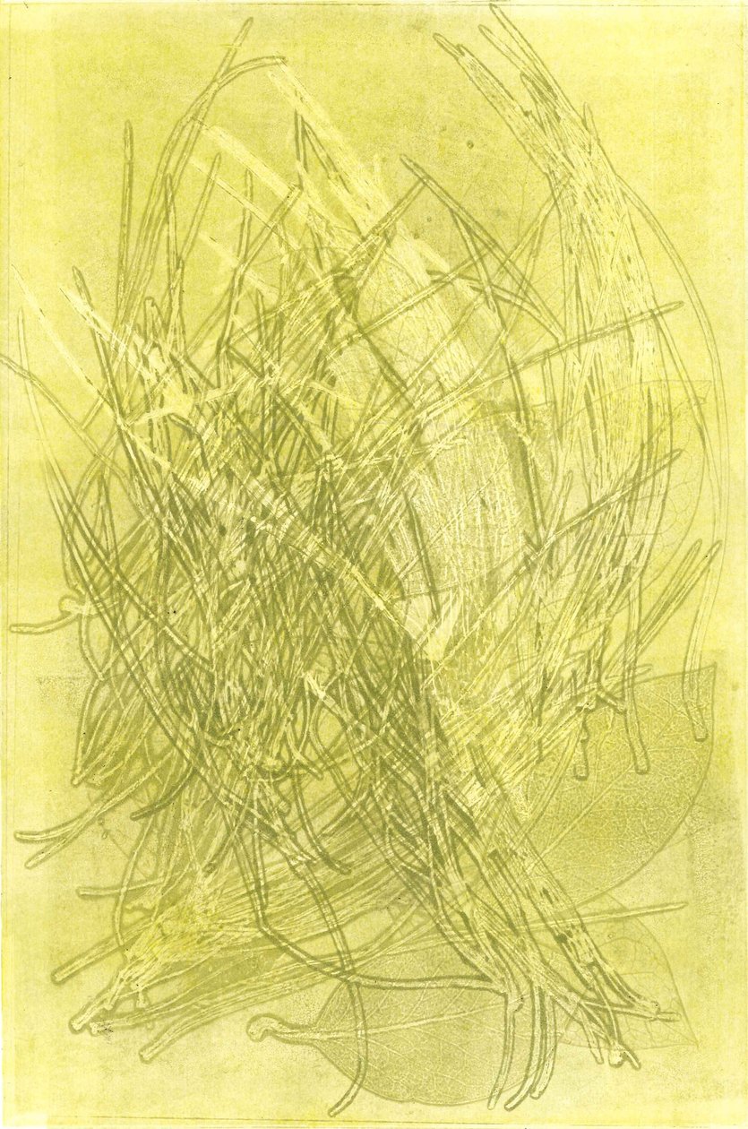 Jardín de verano V, 2015 (monocopia sobre papel) de Stephen Dow