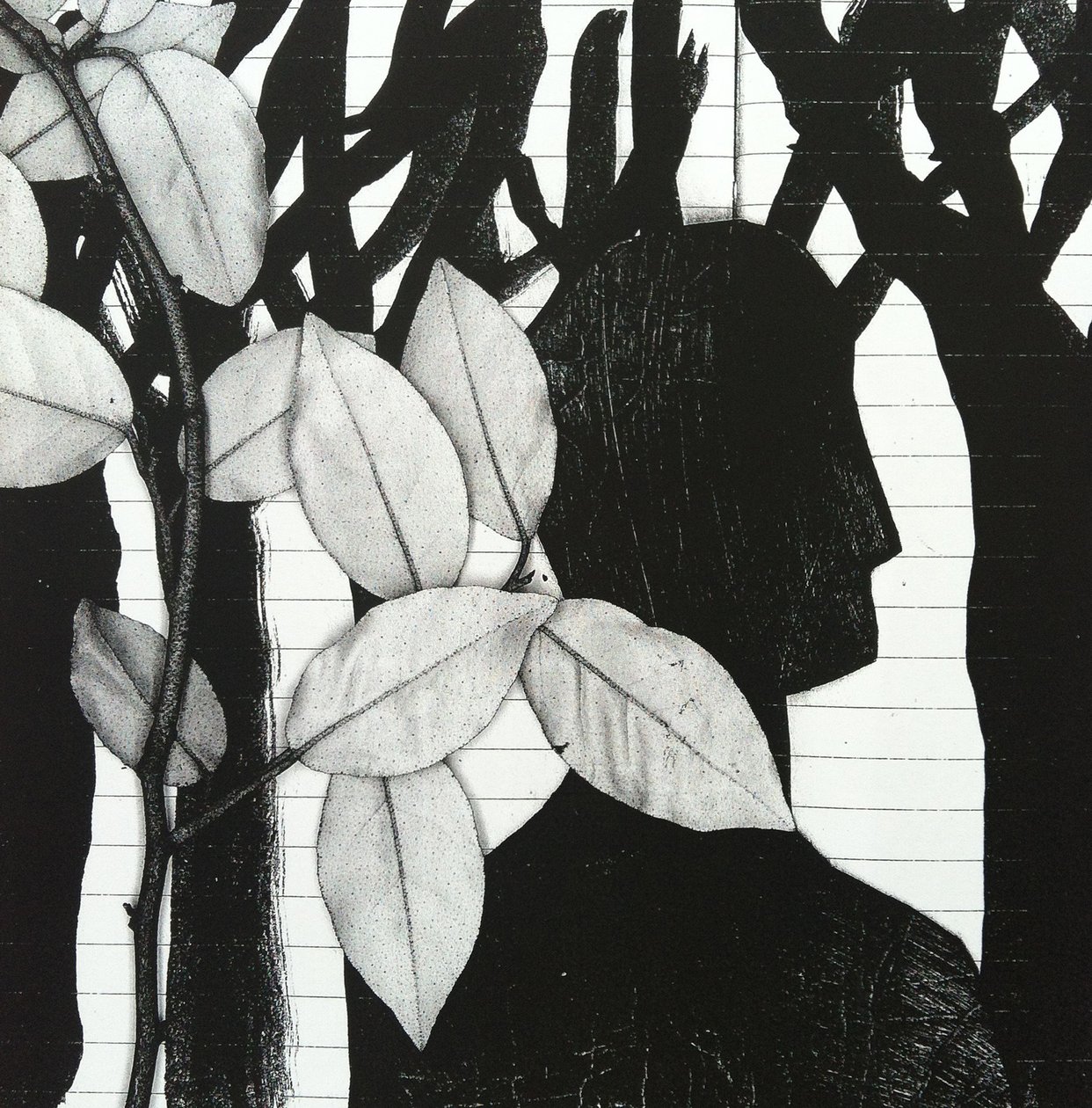 El bosque, 2014 (collage) de Stephen Dow