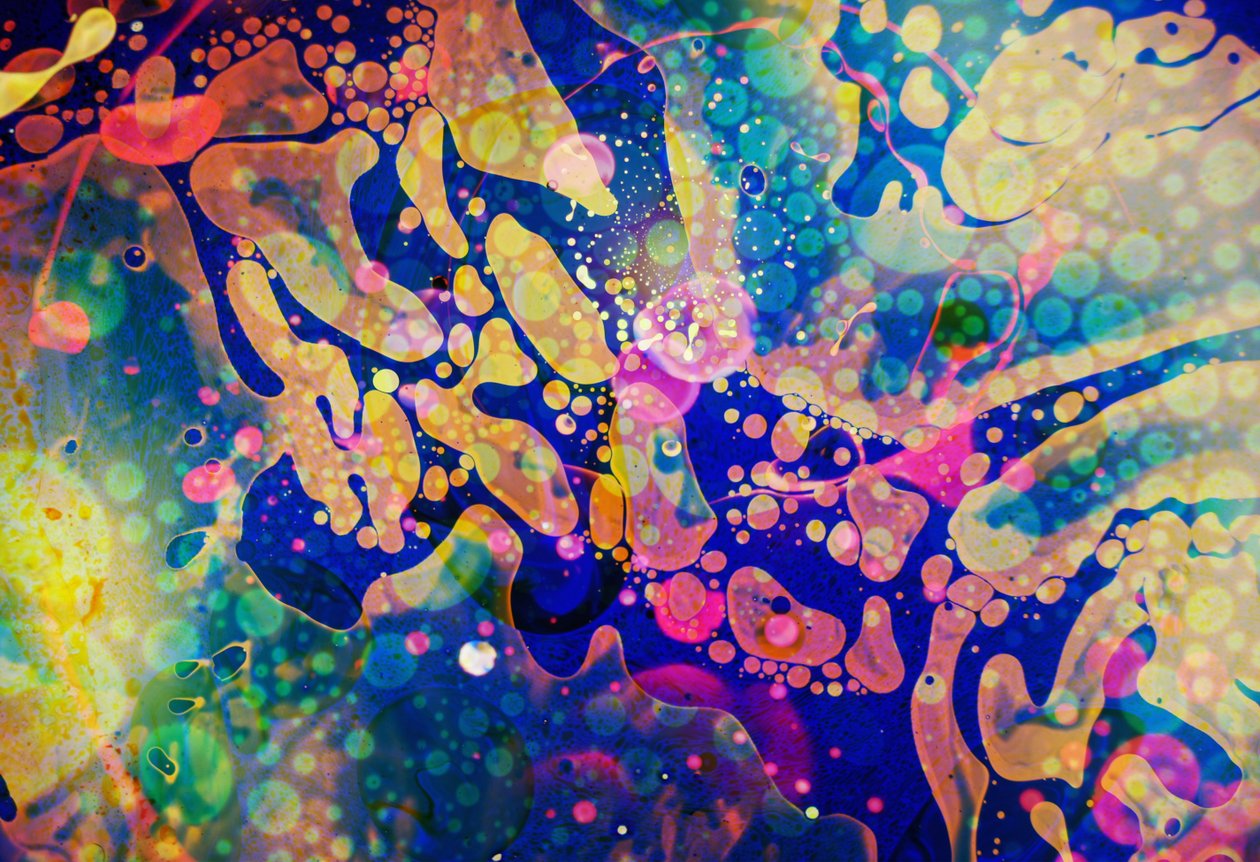 Composición nº 3, 2024 de Steve Pavlovsky
