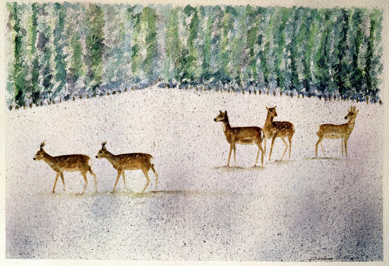 Ciervo en la nieve de Suzi Kennett