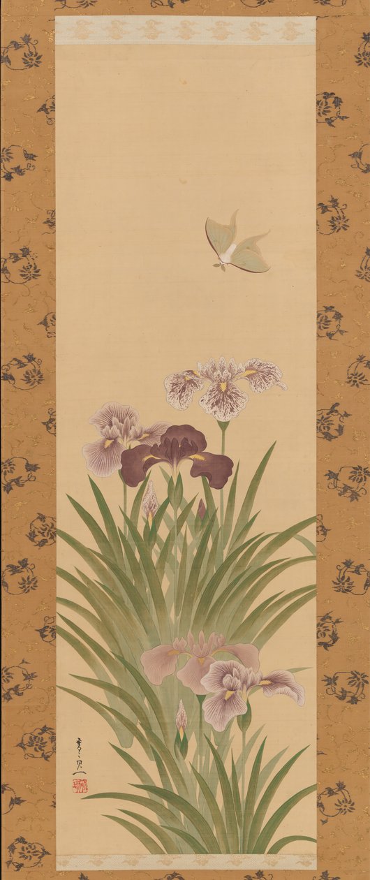 Iris y polilla, ca. 1850 de Suzuki Kiitsu