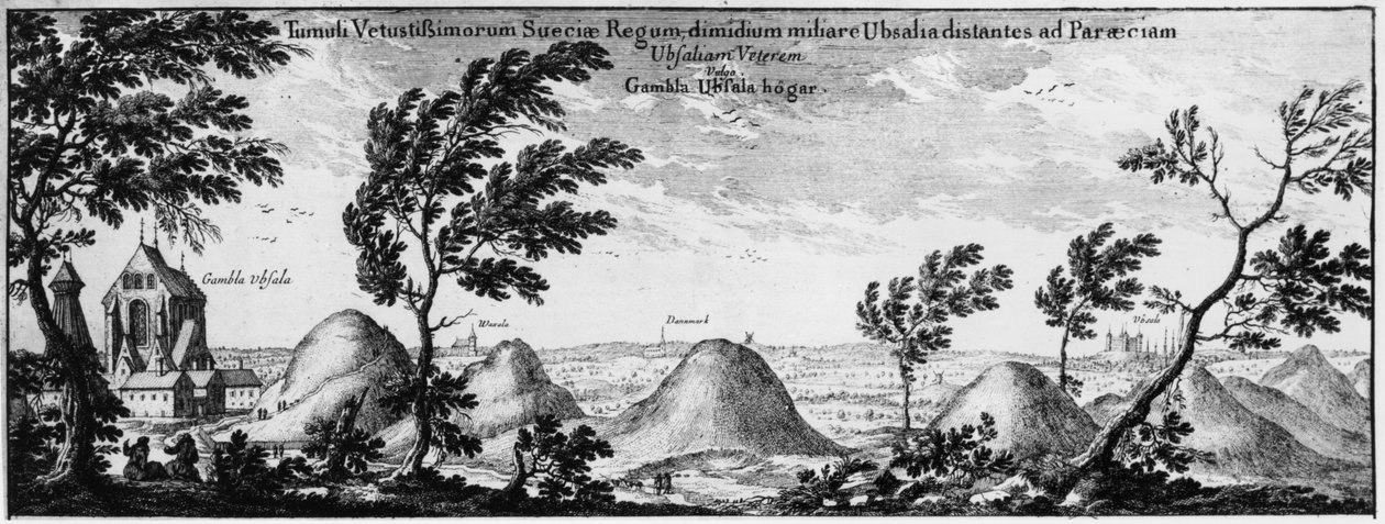 Túmulos funerarios en Uppsala, Suecia de Swedish School