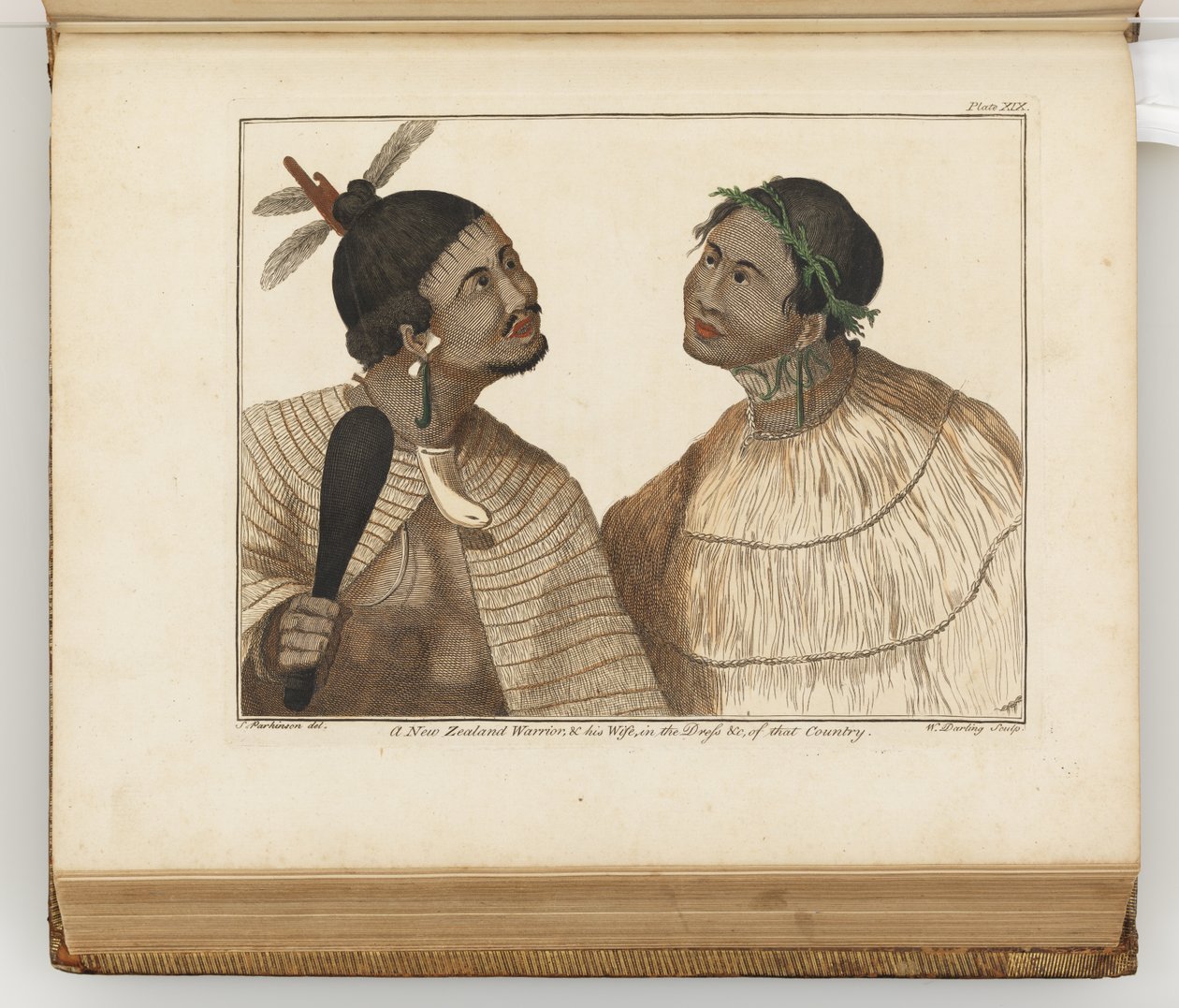 Un guerrero de Nueva Zelanda y su esposa, ilustración de Un diario de un viaje a los mares del sur: en el barco de Su Majestad, el Endeavour, 1794 de Sydney