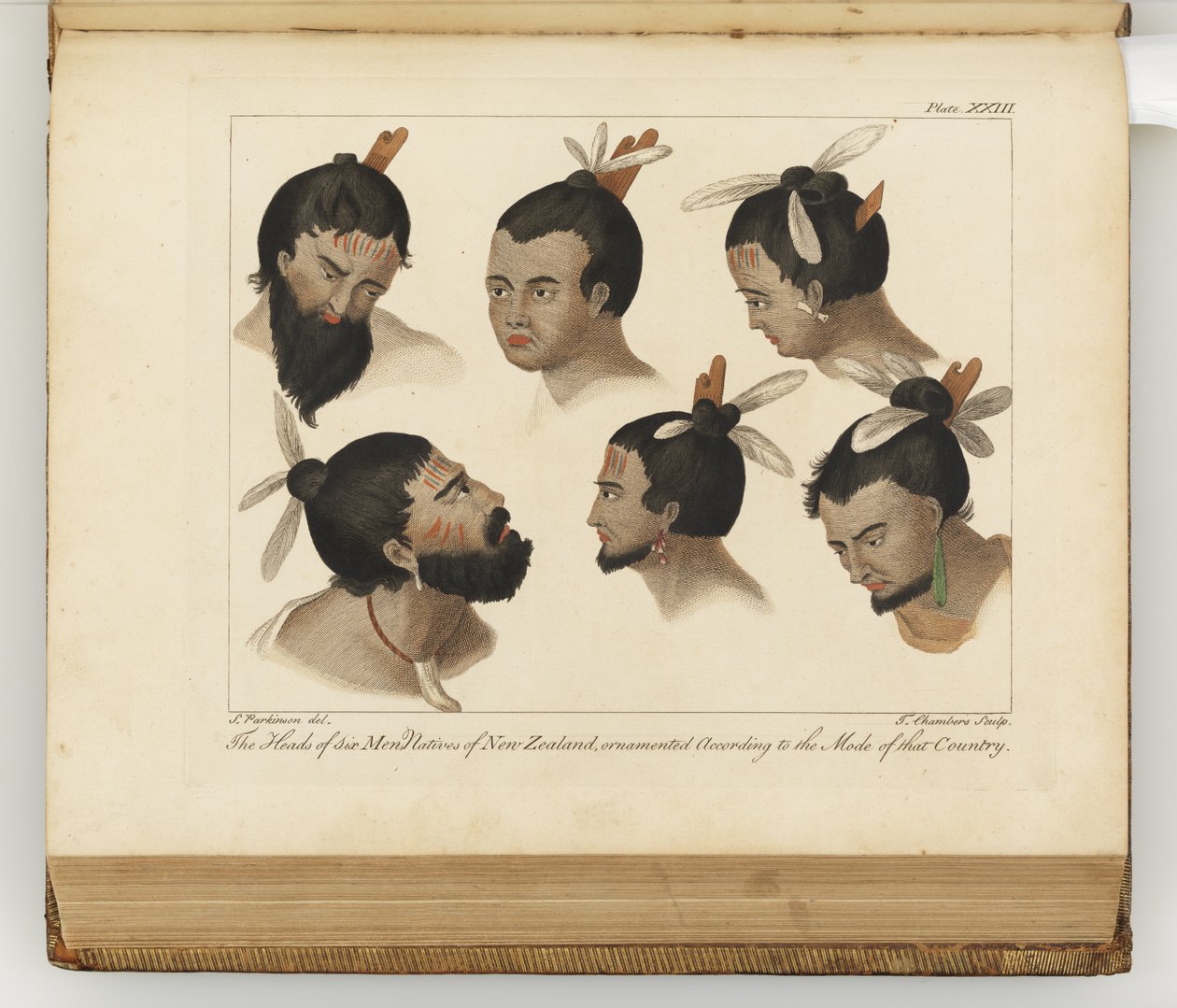 Las cabezas de seis hombres, ilustración de Un diario de un viaje a los mares del sur: en el barco de Su Majestad, el Endeavour, 1794 de Sydney