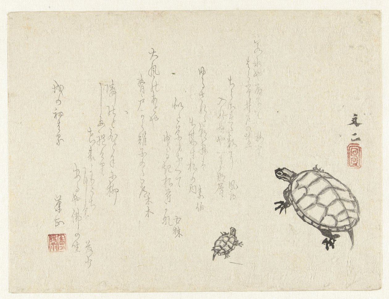 dos tortugas de Tani Bunji
