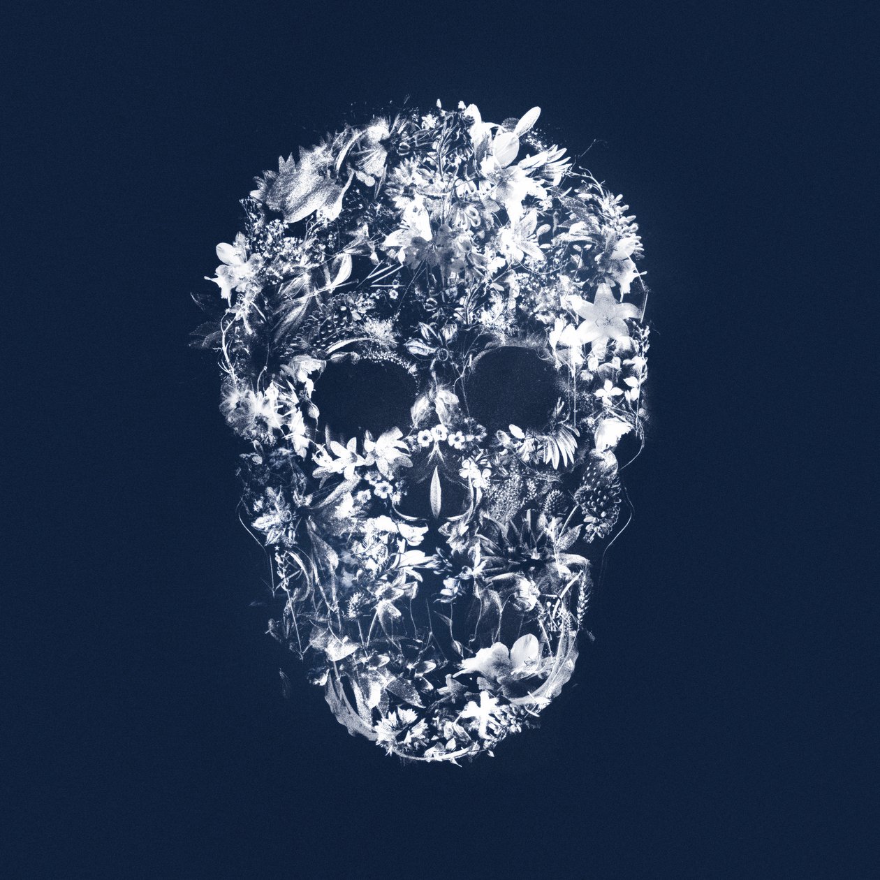 FloralSkull, 2018 (técnica mixta sobre lienzo) de Teis Albers