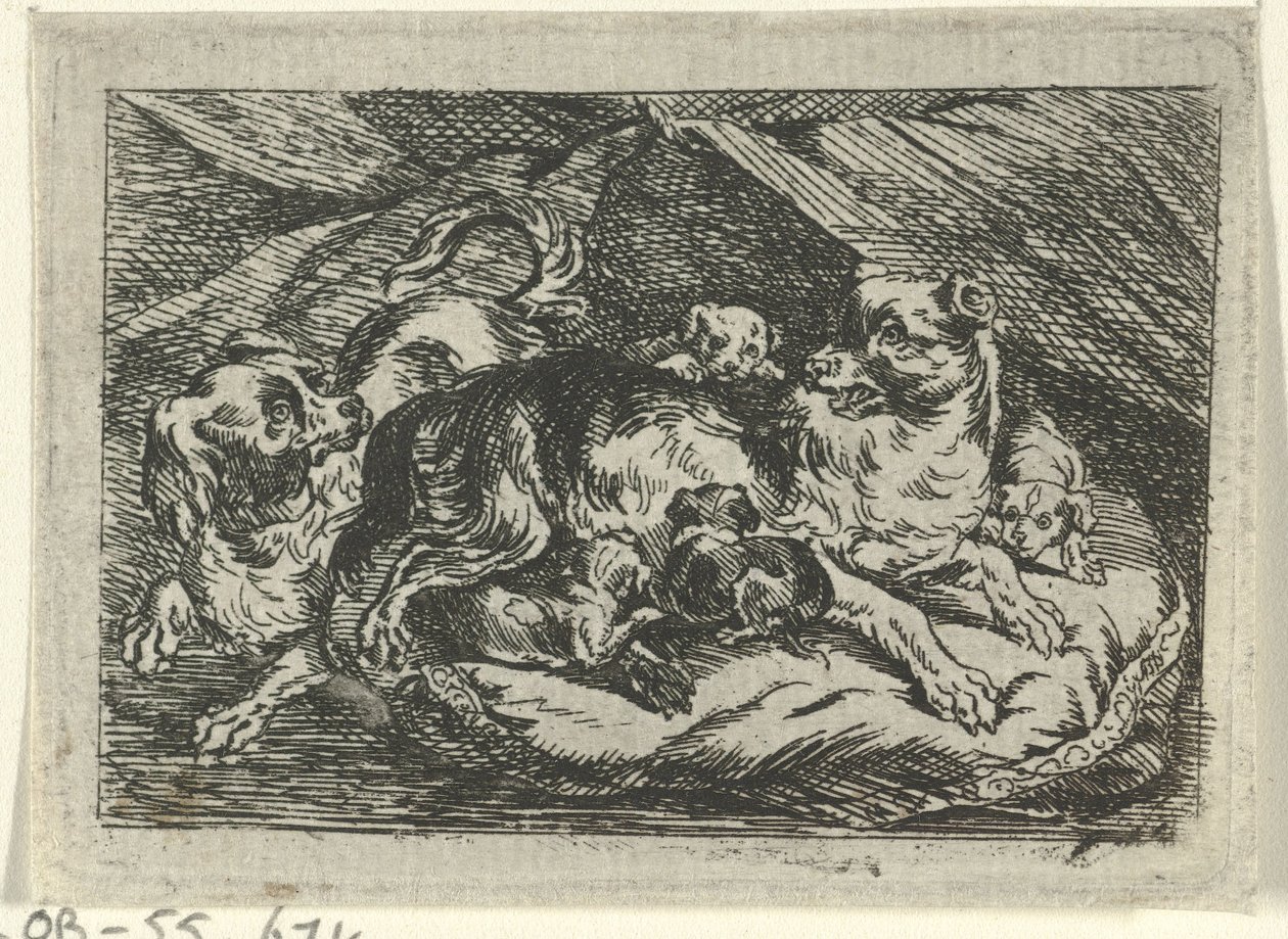 Camada con perros jóvenes de Tethart Philip Christian Haag