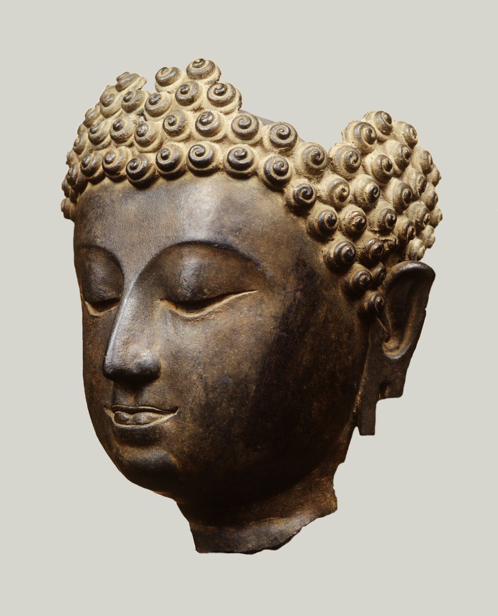 Cabeza de Buda, estilo Lanna de Thai School