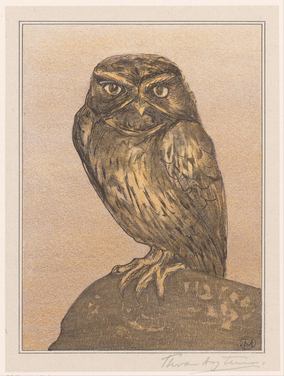 Pequeño búho en la roca de Theo van Hoytema (signed by artist)