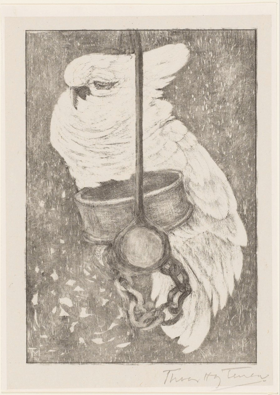 Cacatúa blanca de Theo van Hoytema (signed by artist)