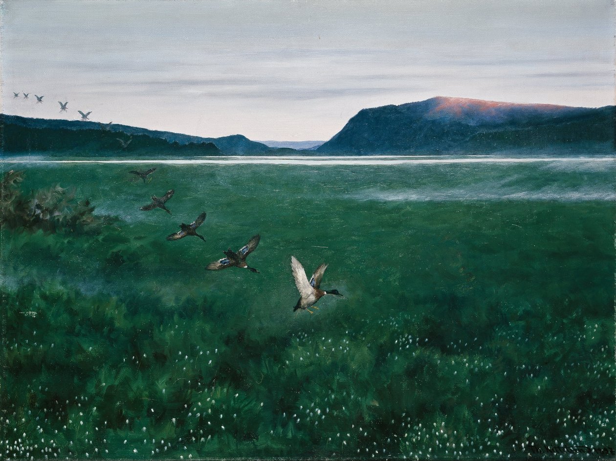 Los doce patos salvajes de Theodor Kittelsen