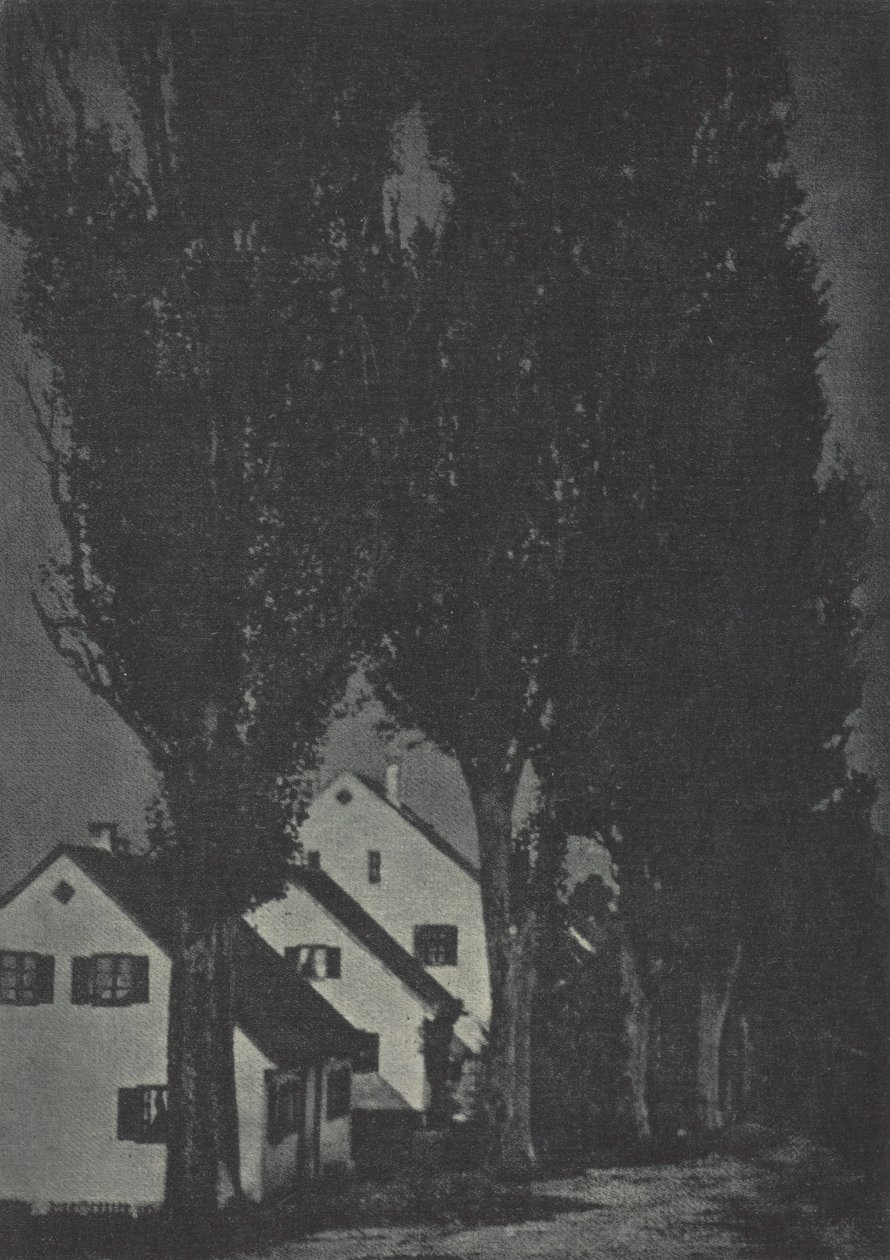 Trabajo de cámara: Dachau, 1904 de Theodor Hofmeister