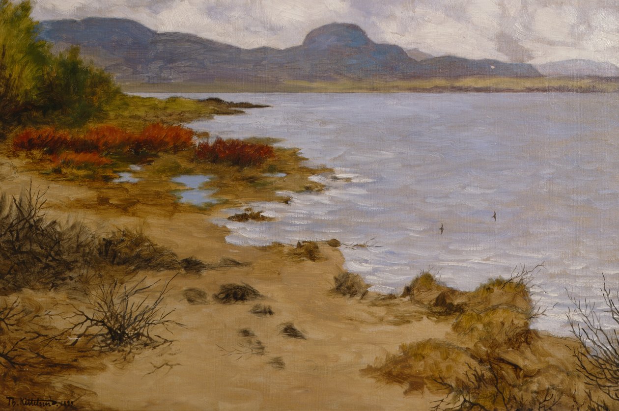 Sección de playa en Soneren (Andersnatten) de Theodor Kittelsen