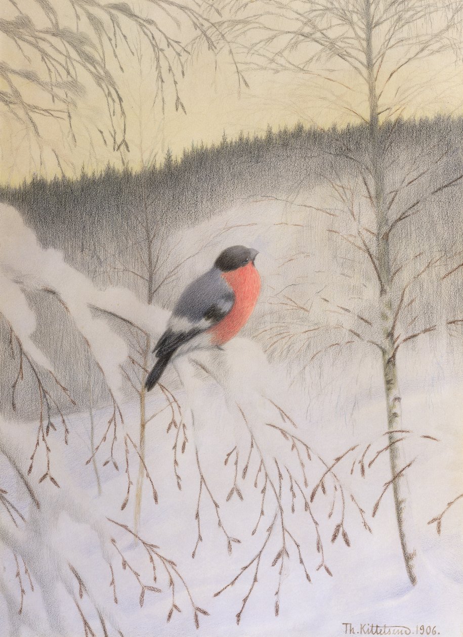 Bullfinch en Frosty Twig de Theodor Kittelsen