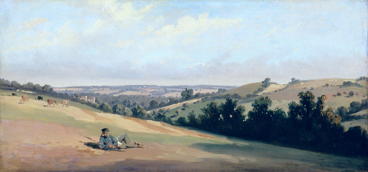Joven reclinado en los Downs, c.1833-35 de Theodore Caruelle d Aligny