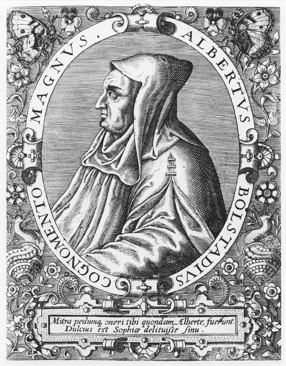 Albertus Magnus de Theodore de Bry