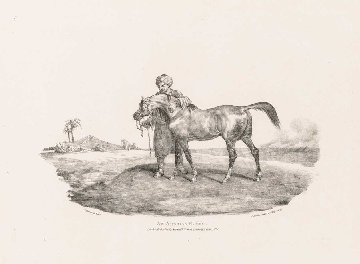 Un caballo árabe de Theodore Gericault