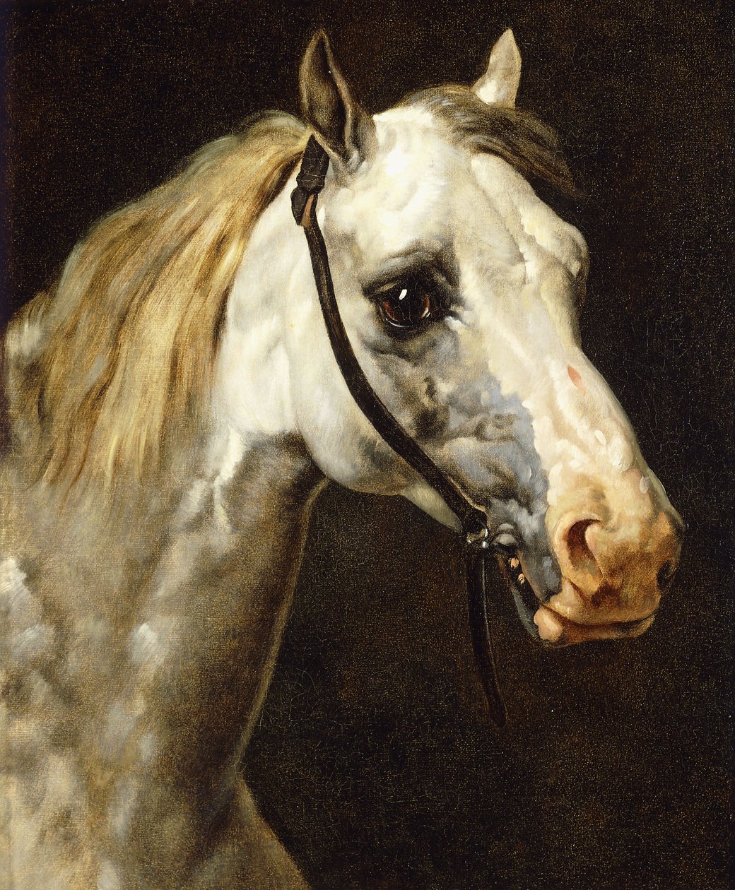 Cabeza de un caballo pío de Theodore Gericault