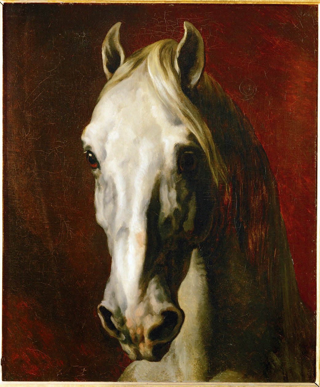 Cabeza de caballo blanco ... de Theodore Gericault
