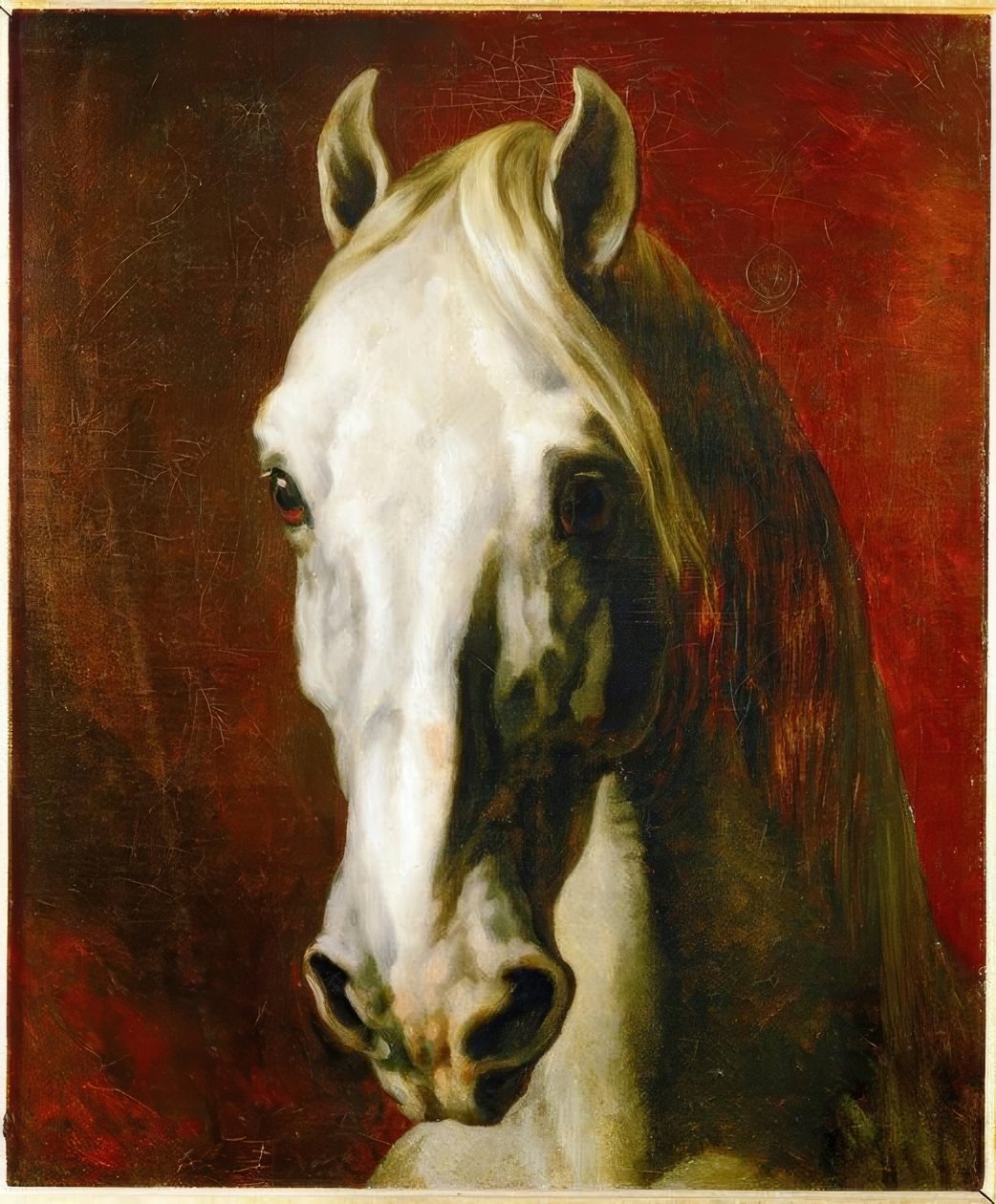Cabeza de un caballo blanco de Theodore Gericault