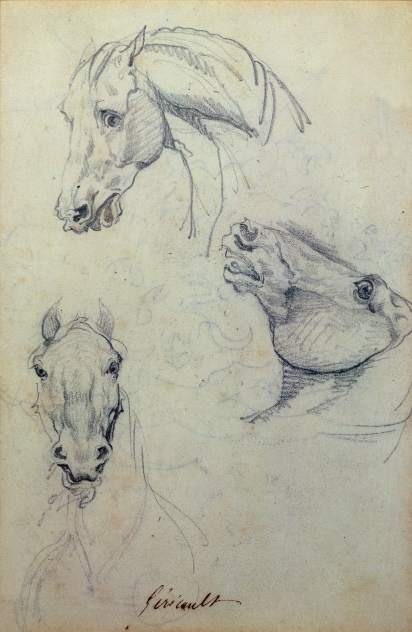 Tres cabezas de caballo (lápiz) de Theodore Gericault