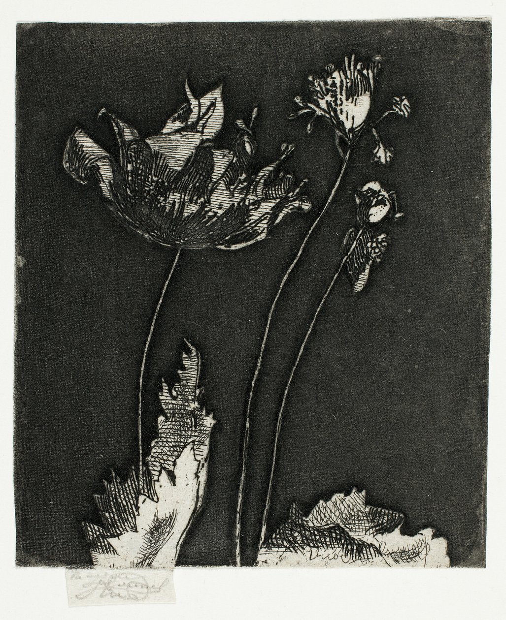 Últimas Amapolas de Theodore Roussel
