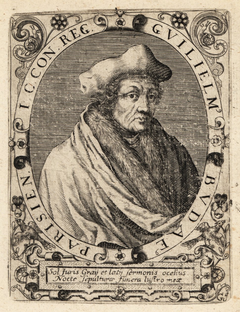 Guillaume Budé de Theodore de Bry