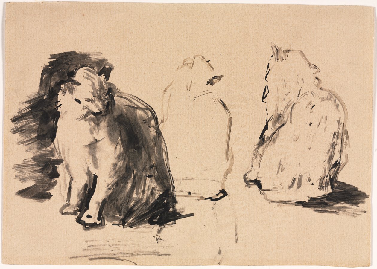 Gatos (anverso) de Theodule Ribot