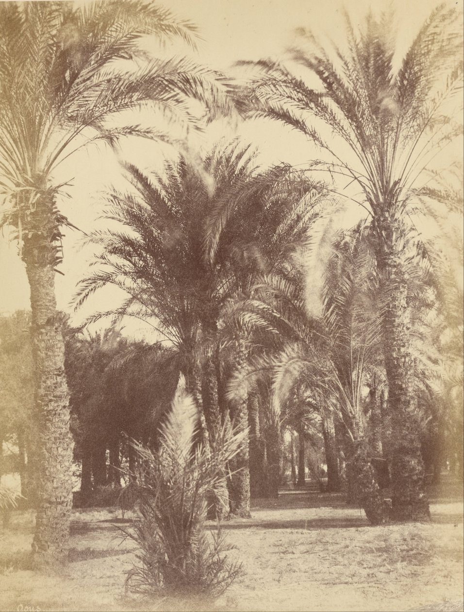 Gous de Théodule Devéria